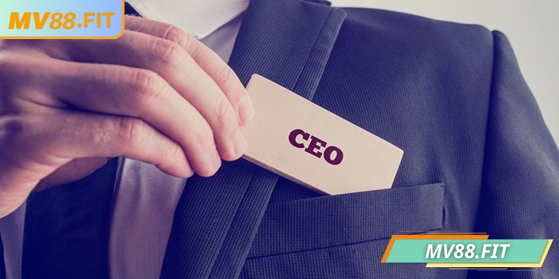 Định hướng của CEO Bình Trần Linh đối với nhà cái