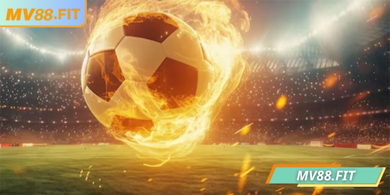 Không đặt hết vốn và một trận để tránh mất trắng