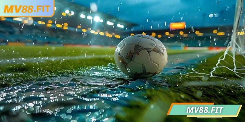 Tìm hiểu khái niệm kèo 1/2 MV88 cho người mới