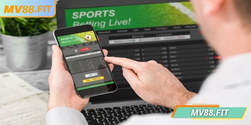 Nắm được thuật ngữ nâng cao để tối ưu hóa lợi nhuận