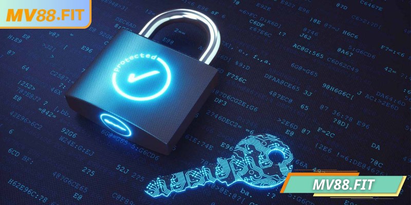 Miễn Trừ Trách Nhiệm 3 Người chơi cần có nghĩa vụ bảo vệ tài khoản